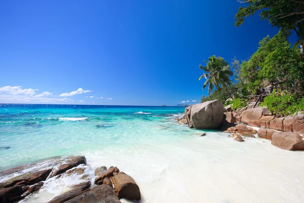 Idylliska stranden i Seychellerna — Stockfoto