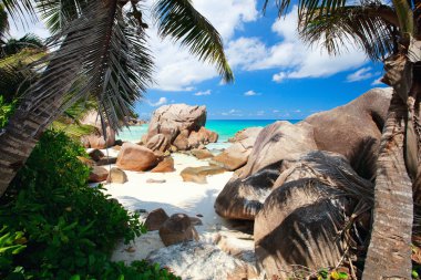 Secluded beach in Seychelles clipart