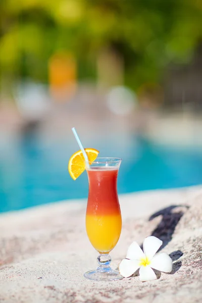 Tropische cocktail en frangipani bloem — Stockfoto