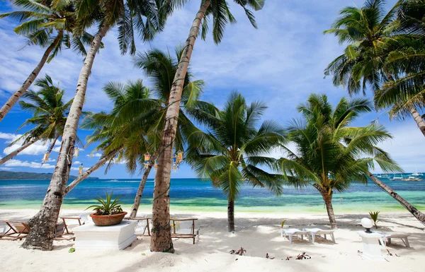 Doskonały tropikalnej plaży z palmami — Zdjęcie stockowe