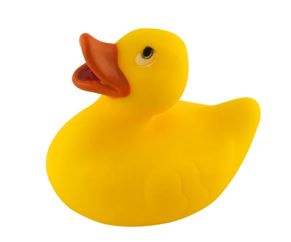 Toy Duck — Stock Photo, Image