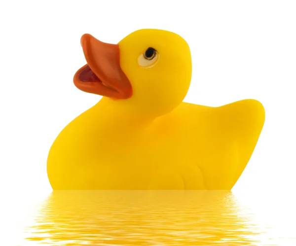 Toy Duck Floating — Stock Photo, Image