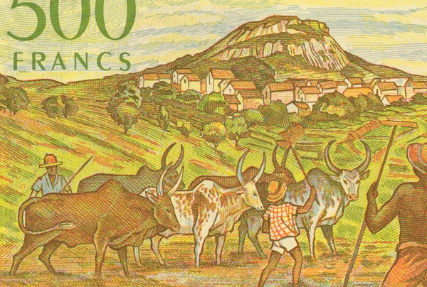 Herdsmen with Zerbus — Stock Photo, Image