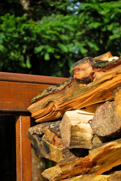 Firewood — Stock Photo, Image