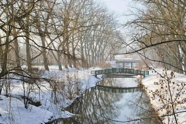 Πάρκο Και Ποτάμι Κάτω Από Χιόνι — Φωτογραφία Αρχείου