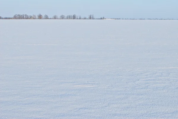 Снежный горизонт — стоковое фото