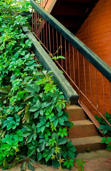 stock image Wooden staircase outdoors