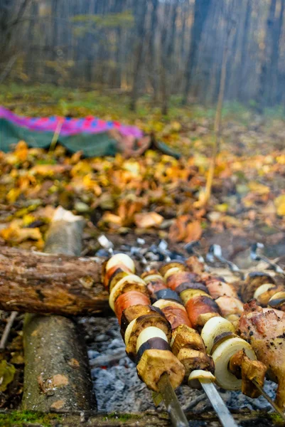 森のピクニック — ストック写真