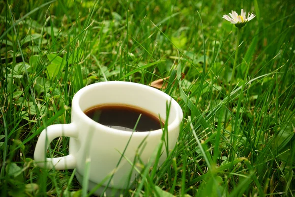 Kaffe i gräset — Stockfoto
