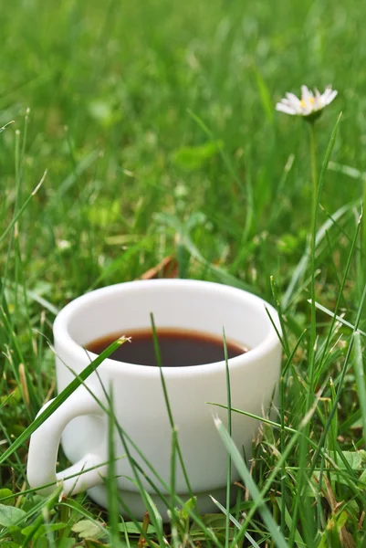 Kaffe i gräset — Stockfoto