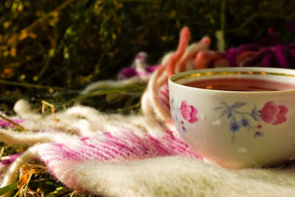 Drinking herbal tea on the plaid outdoors — Stock Photo, Image