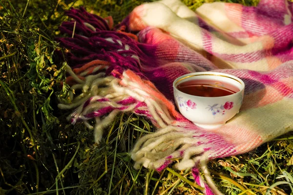 Kruiden thee drinken op de plaid buitenshuis — Stockfoto