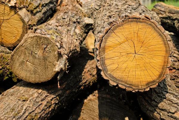 Gehakte brandhout — Stockfoto