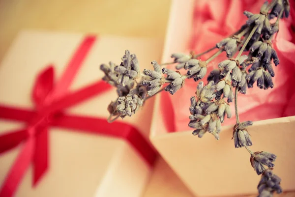 Lavender and nice wrapped present — Stock Photo, Image