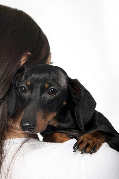 Girl with dachshund — Stock Photo, Image