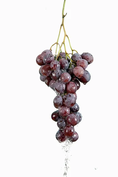 Winogrono z kroplami wody izolowane na białym — Zdjęcie stockowe