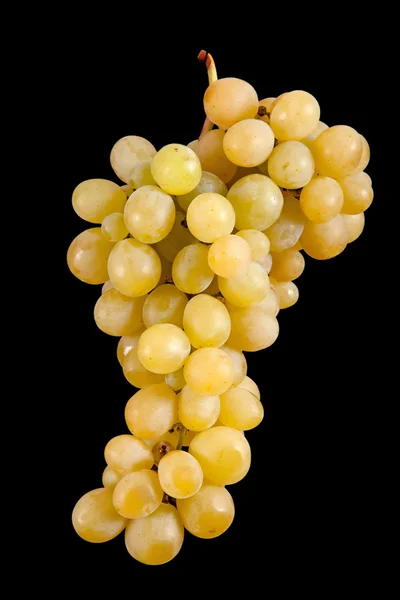 Білий виноград ізольований на чорному — стокове фото