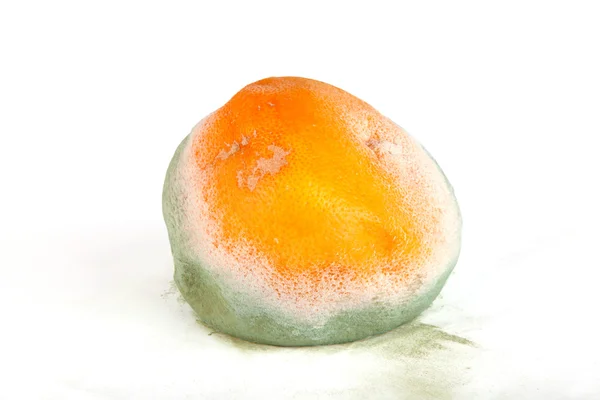 Гнилий грейпфрут ізольований на білому — стокове фото