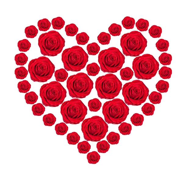 Coração de botões de rosa vermelha isolado em branco — Fotografia de Stock