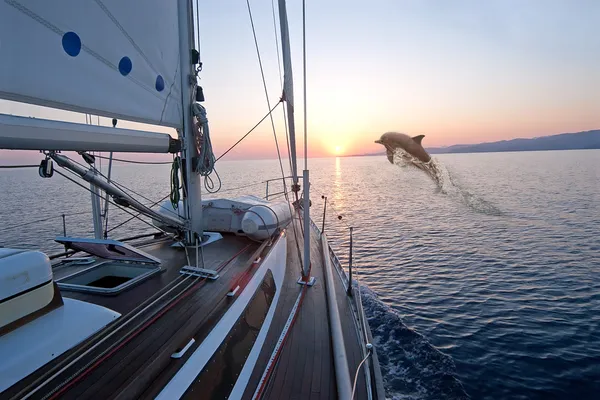 Doplhin pulando perto de barco à vela — Fotografia de Stock