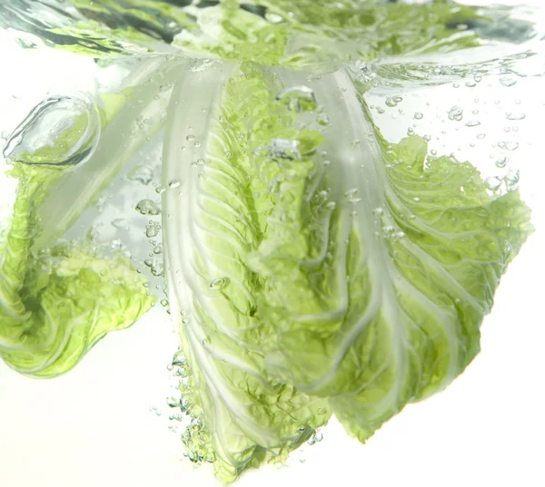 Beijing cabbage in water splash — Stock Photo, Image