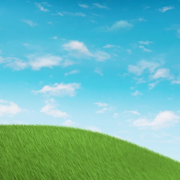 Tepelik çayır çimen — Stok fotoğraf
