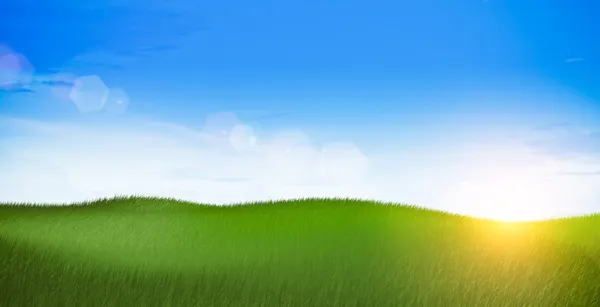 stock image Green field landscape at morning