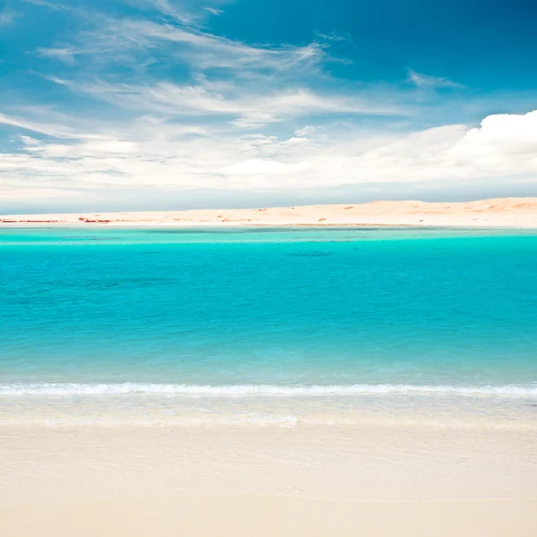 砂浜の熱帯の島 — ストック写真