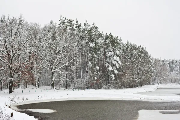 Winterlandschap Stockfoto
