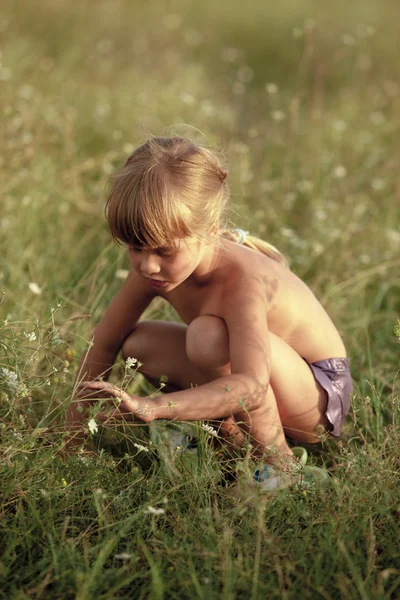 Serisi Yeşil Çayır Üzerinde Küçük Kız — Stok fotoğraf