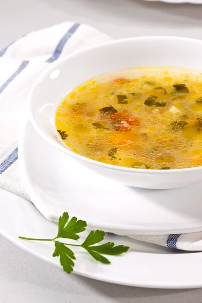 Овощной суп — стоковое фото