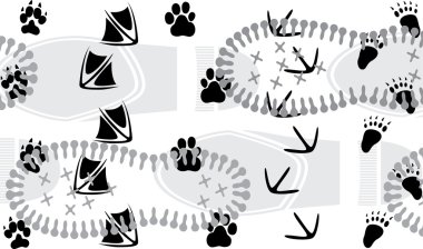 Animal traces trampled by the human one. vector illustration for design clipart