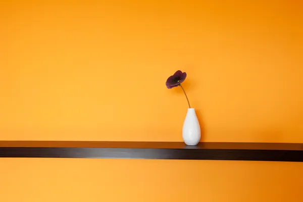 Fleur dans un vase près du mur — Photo