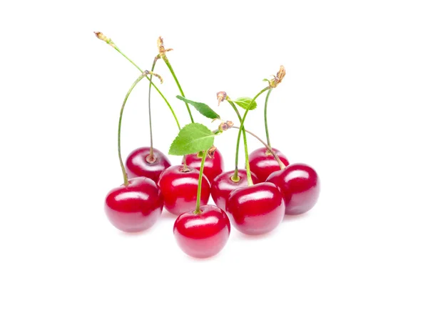 Cherry — Stok Foto