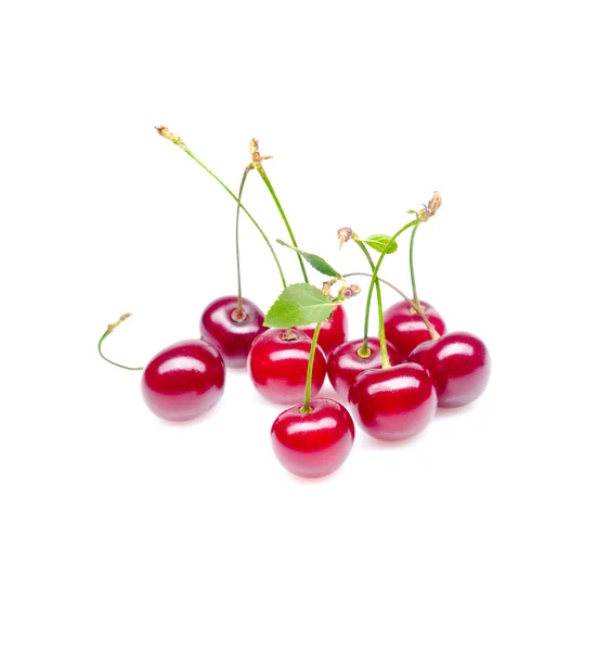Geïsoleerde Cherry — Stockfoto