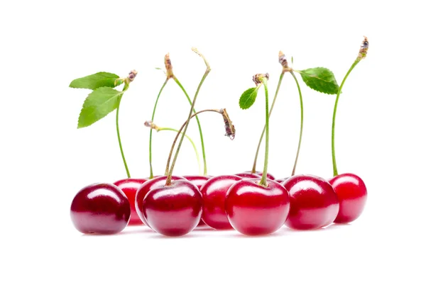 Isolated Cherry — Stock Photo, Image