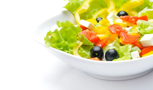 Salat isoliert über Weiß — Stockfoto