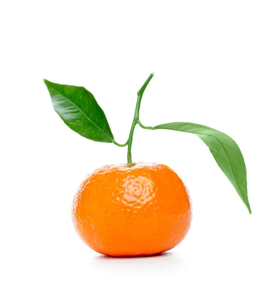 Tangerine with leaves — Stock Photo, Image