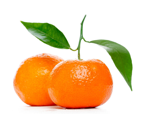 Tangerines with leaves isolated over white