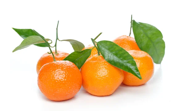 Tangerines with leaves isolated over white — Stock Photo, Image