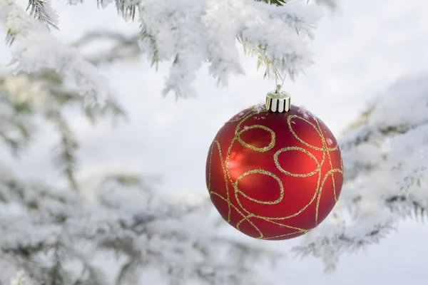 The Christmas tree ball — Stock Photo, Image