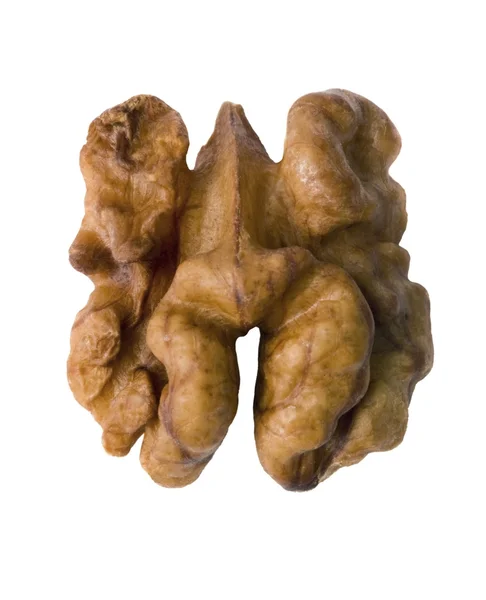 Черкесский грецкий орех — стоковое фото