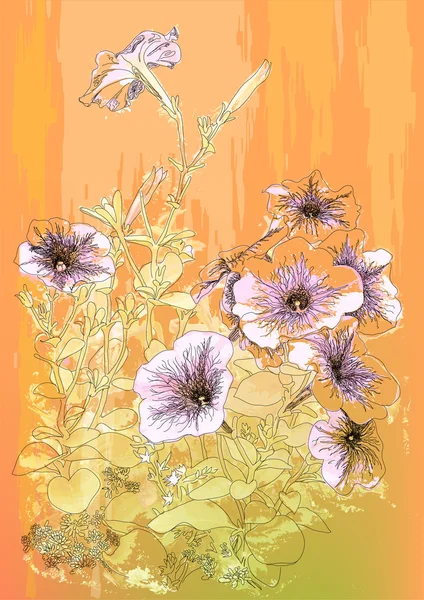 Kwiaty petunii. ilustracja w stylu vintage — Wektor stockowy