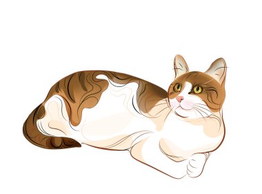 Hand drawn portrait of ginger tabby cat clipart