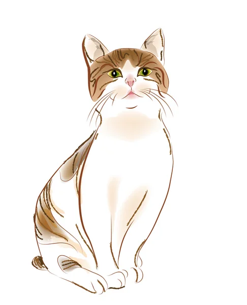 생강 줄무늬 고양이의 초상화 — 스톡 벡터