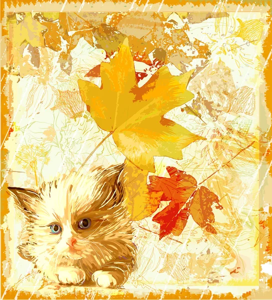 Ginger gatito a la espera de propietario — Archivo Imágenes Vectoriales