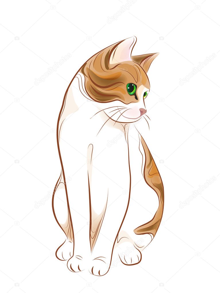 Hand drawn portrait of ginger tabby cat — Stock Vector © sannare #4377052