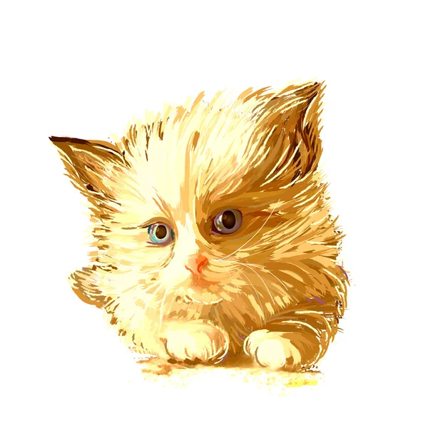 Retrato dibujado a mano del gatito jengibre con ojos azules — Vector de stock