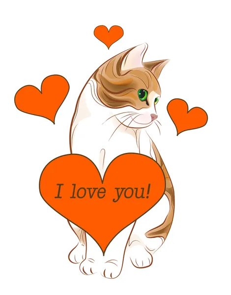 Valentines Day Greeting Card Tabby Cat Heart — Stock Vector