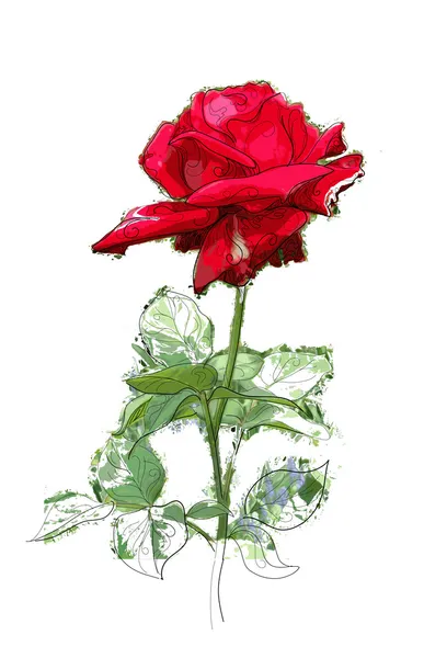 Червона Троянда — стоковий вектор